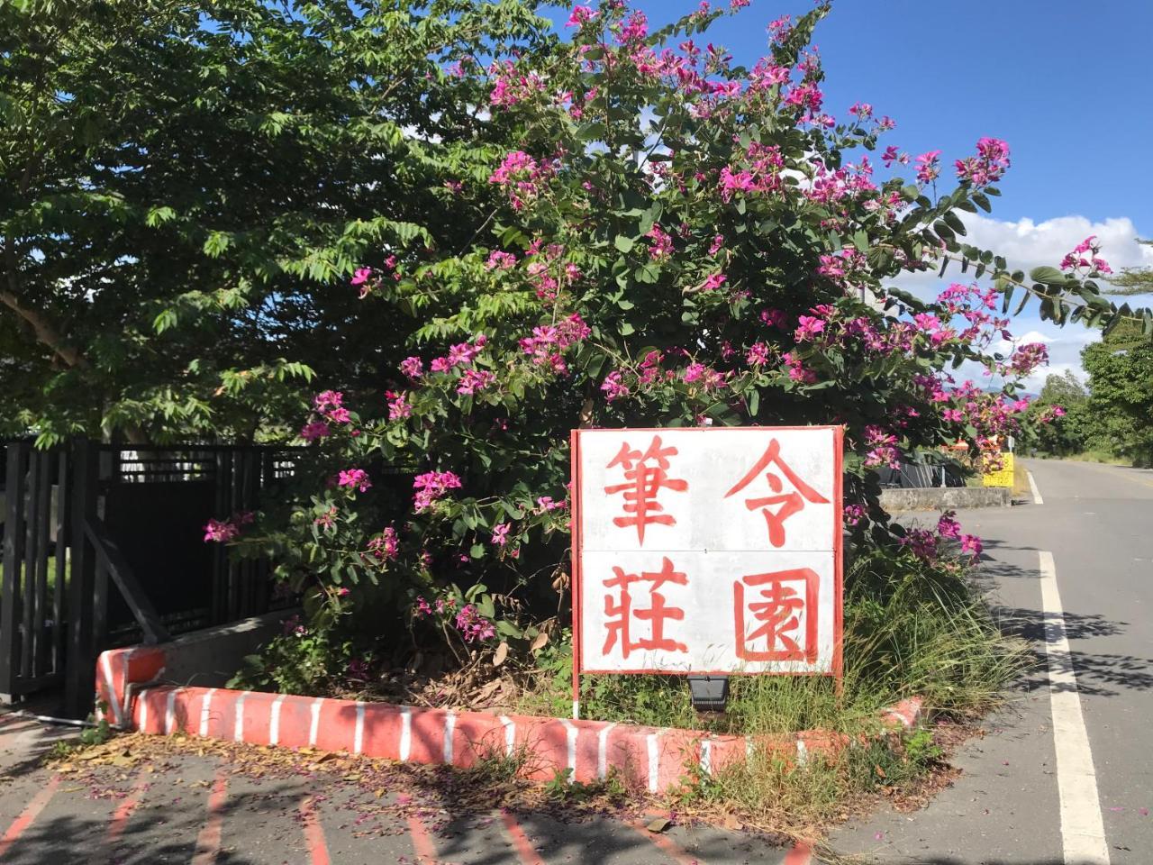 T'ai-tung笔令庄园公寓 外观 照片
